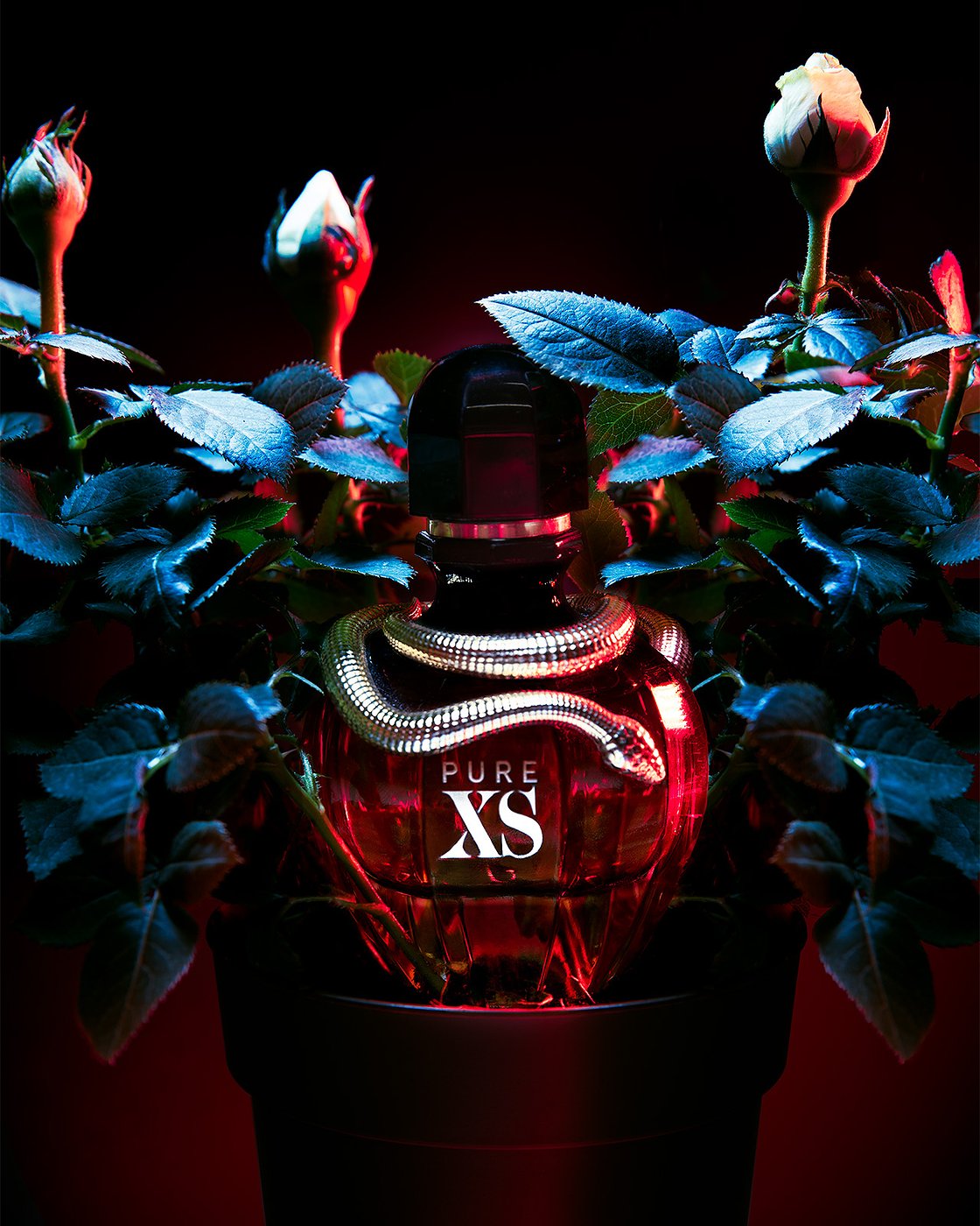 Perfume bottle, product photography
